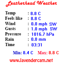 Leatherhead Weather
