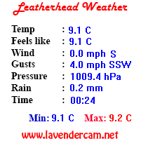 Leatherhead Weather