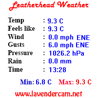 Leatherhead Weather