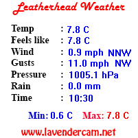 Leatherhead Weather