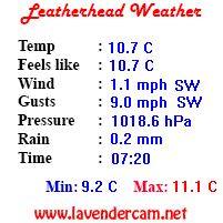 Leatherhead Weather