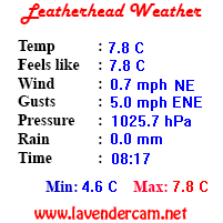 Leatherhead Weather